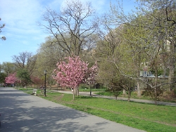 2011 Spring Scenery Walk - Riverside Park 24